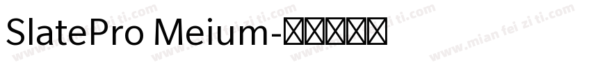 SlatePro Meium字体转换